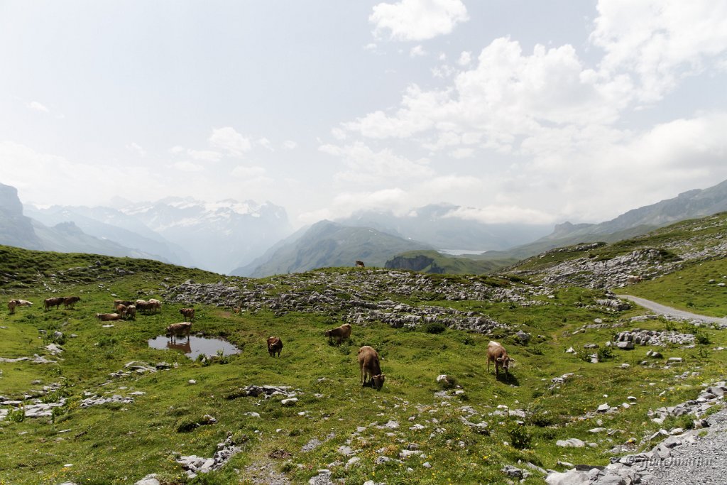 20130803_237
